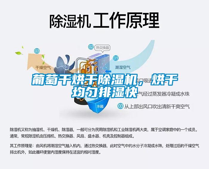 葡萄干烘干除濕機，烘干均勻排濕快