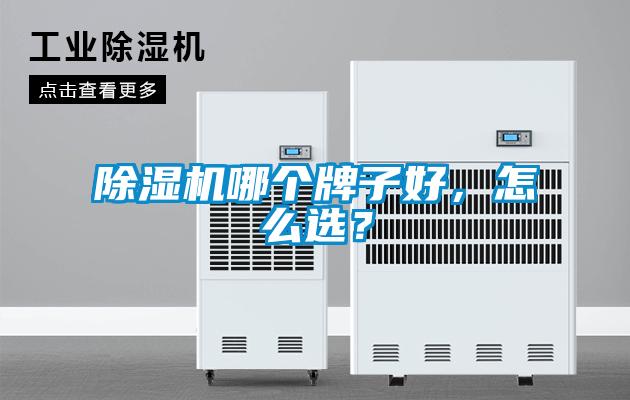 除濕機哪個牌子好，怎么選？