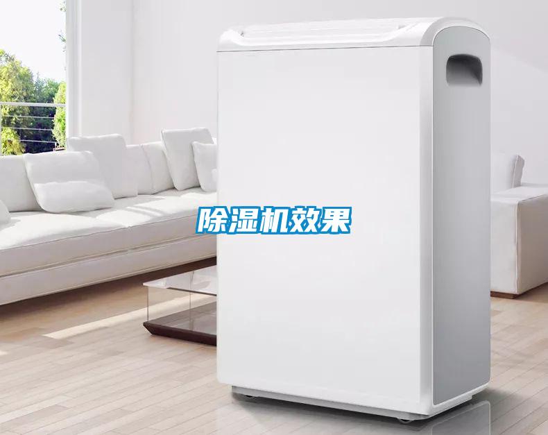 除濕機(jī)效果