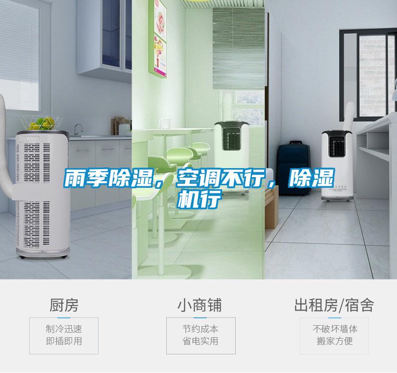 雨季除濕，空調(diào)不行，除濕機(jī)行