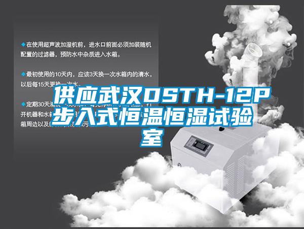 供應(yīng)武漢DSTH-12P步入式恒溫恒濕試驗室