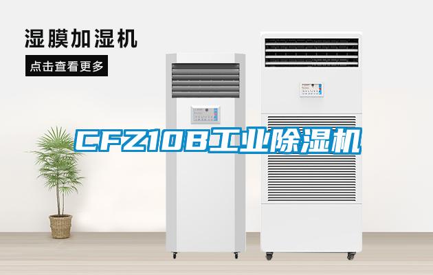 CFZ10B工業(yè)除濕機