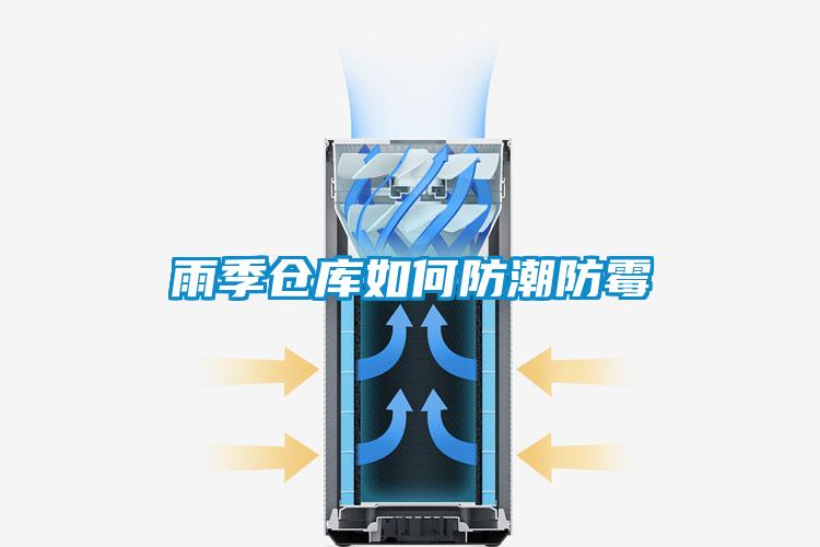 雨季倉(cāng)庫(kù)如何防潮防霉
