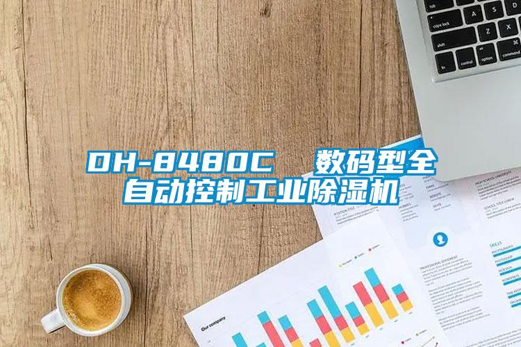 DH-8480C  數(shù)碼型全自動控制工業(yè)除濕機(jī)