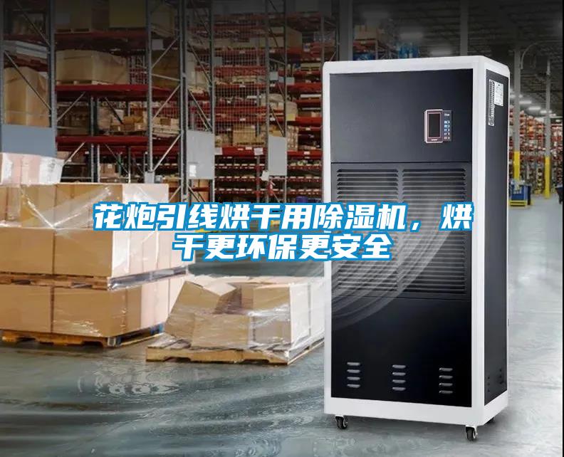 花炮引線烘干用除濕機(jī)，烘干更環(huán)保更安全