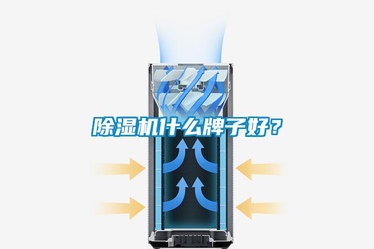 除濕機(jī)什么牌子好？