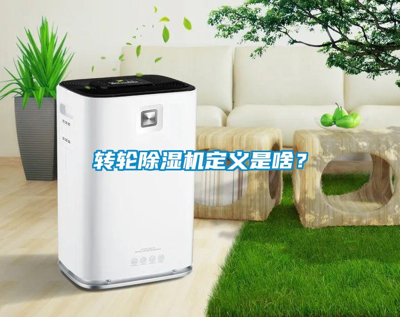 轉(zhuǎn)輪除濕機(jī)定義是啥？