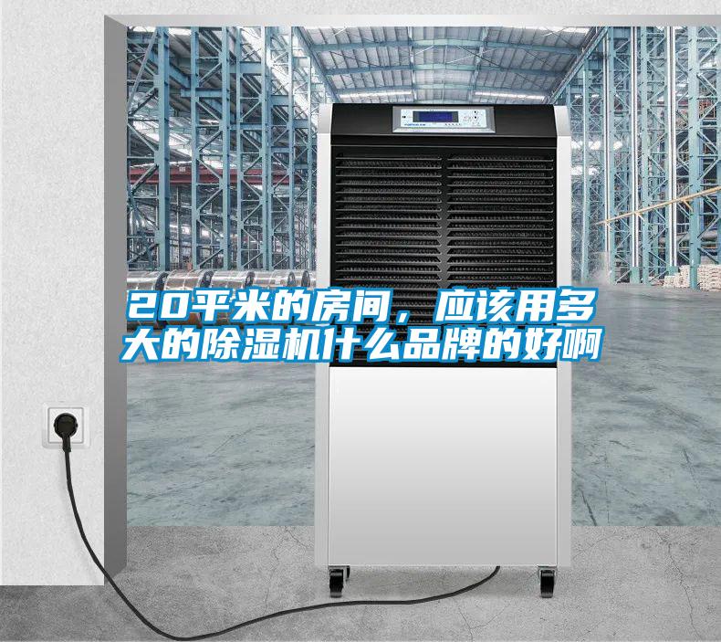 20平米的房間，應(yīng)該用多大的除濕機什么品牌的好啊