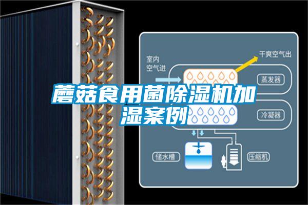 蘑菇食用菌除濕機(jī)加濕案例