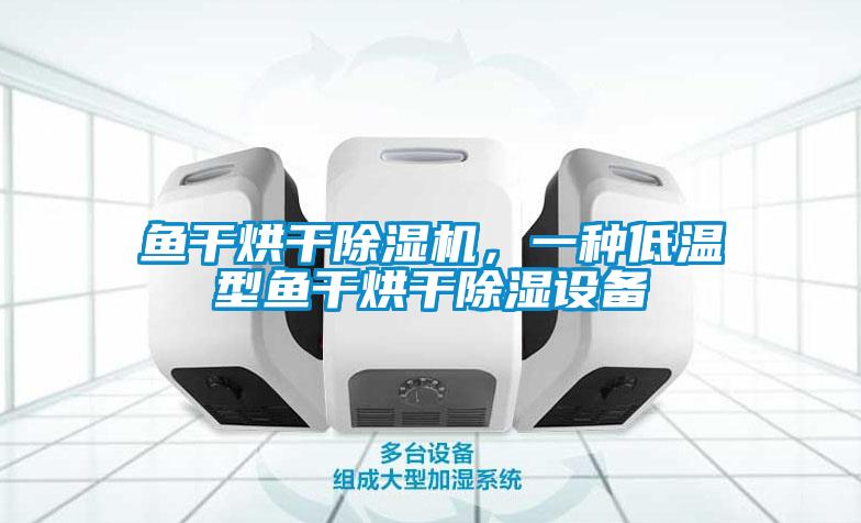 魚干烘干除濕機(jī)，一種低溫型魚干烘干除濕設(shè)備