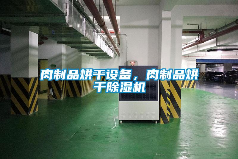 肉制品烘干設備，肉制品烘干除濕機