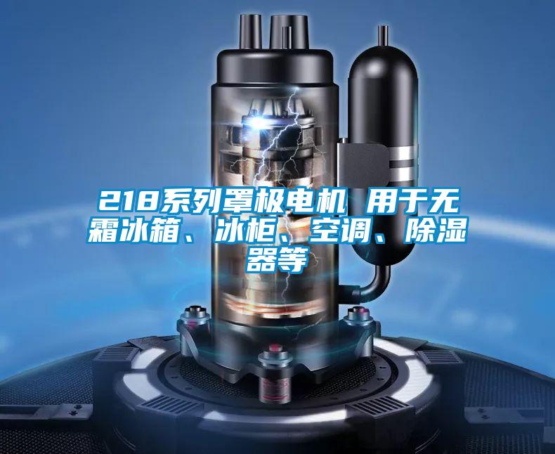 218系列罩極電機(jī) 用于無霜冰箱、冰柜、空調(diào)、除濕器等
