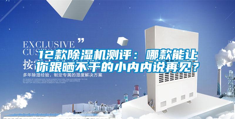 12款除濕機(jī)測(cè)評(píng)：哪款能讓你跟曬不干的小內(nèi)內(nèi)說再見？