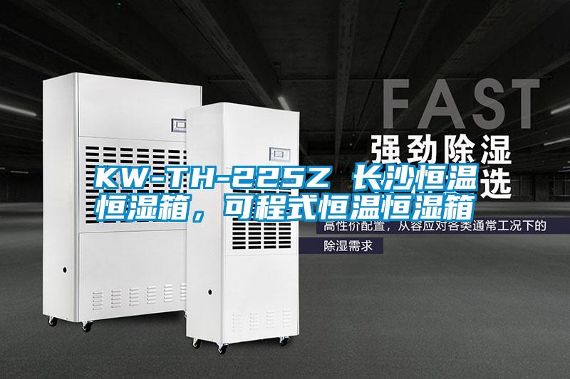 KW-TH-225Z 長(zhǎng)沙恒溫恒濕箱，可程式恒溫恒濕箱