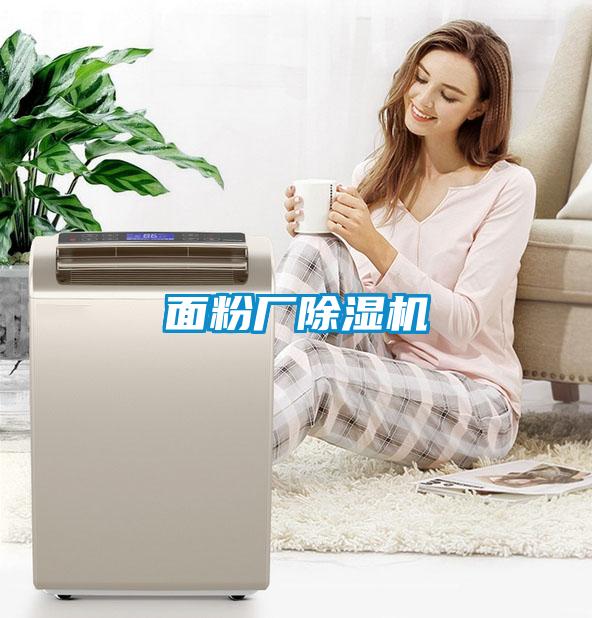 面粉廠除濕機(jī)