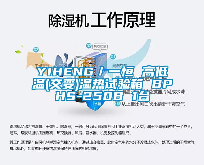YIHENG／一恒 高低溫(交變)濕熱試驗(yàn)箱 BPHS-250B 1臺(tái)