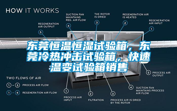 東莞恒溫恒濕試驗箱，東莞冷熱沖擊試驗箱，快速溫變試驗箱銷售
