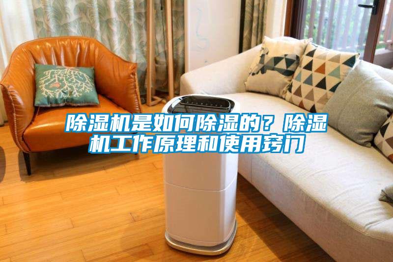 除濕機是如何除濕的？除濕機工作原理和使用竅門