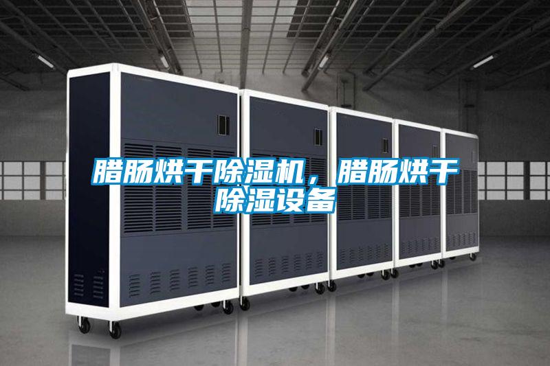 臘腸烘干除濕機(jī)，臘腸烘干除濕設(shè)備