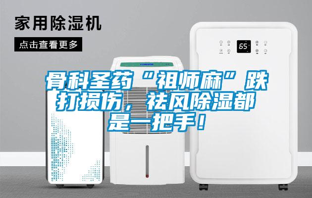 骨科圣藥“祖師麻”跌打損傷，祛風除濕都是一把手！