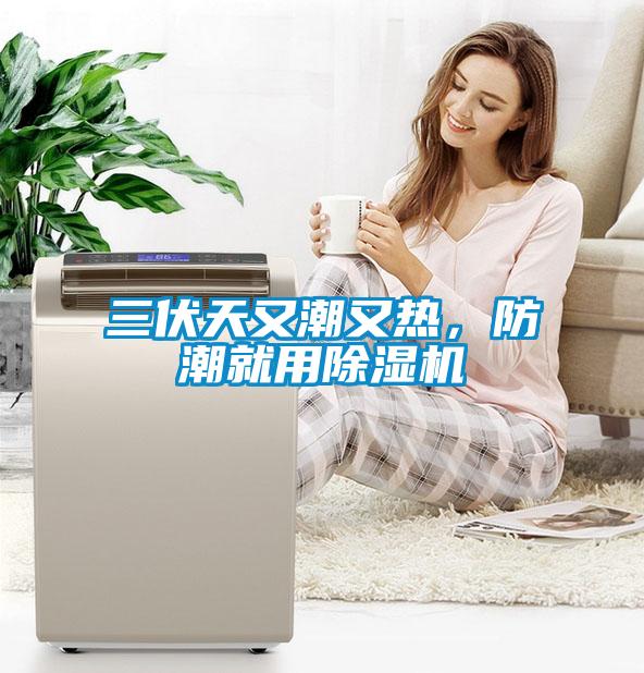 三伏天又潮又熱，防潮就用除濕機(jī)