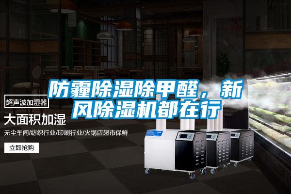 防霾除濕除甲醛，新風(fēng)除濕機(jī)都在行