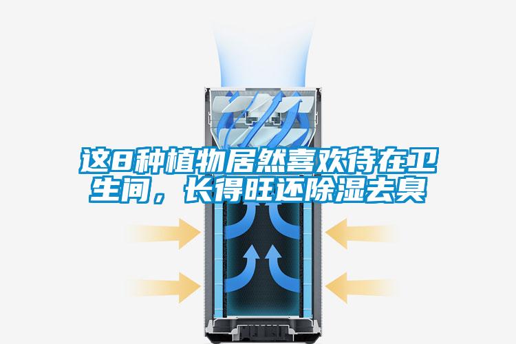 這8種植物居然喜歡待在衛(wèi)生間，長得旺還除濕去臭