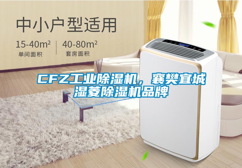 CFZ工業(yè)除濕機，襄樊宜城濕菱除濕機品牌
