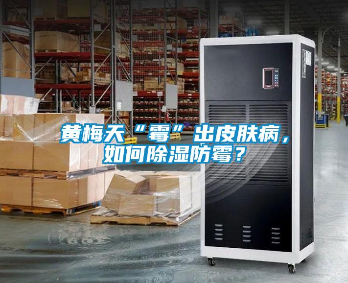 黃梅天“霉”出皮膚病，如何除濕防霉？