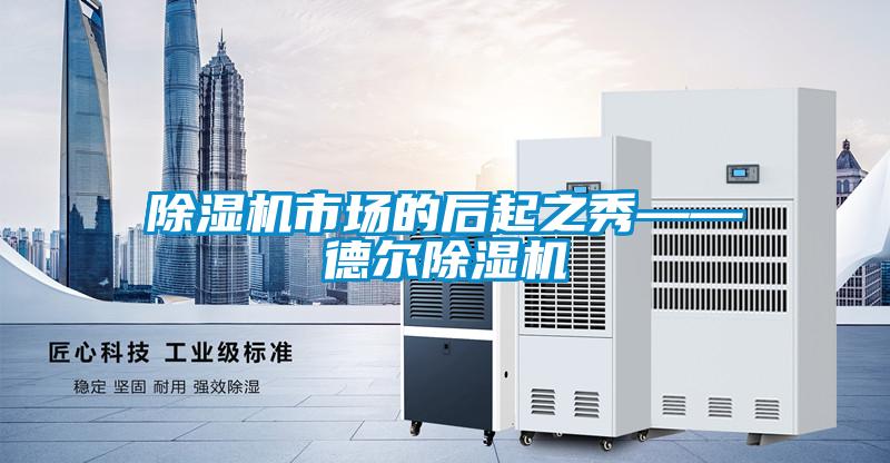 除濕機(jī)市場(chǎng)的后起之秀——德?tīng)柍凉駲C(jī)