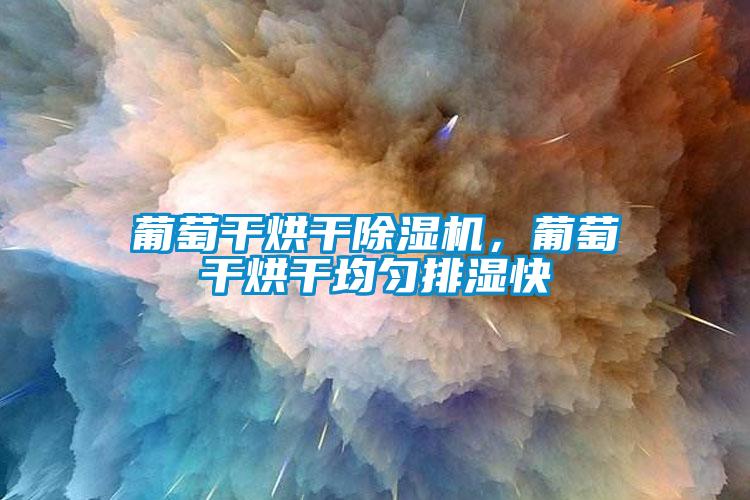 葡萄干烘干除濕機(jī)，葡萄干烘干均勻排濕快