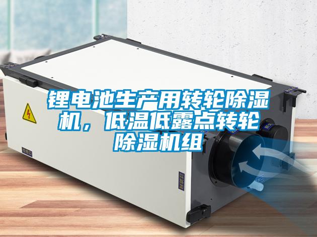鋰電池生產(chǎn)用轉(zhuǎn)輪除濕機，低溫低露點轉(zhuǎn)輪除濕機組