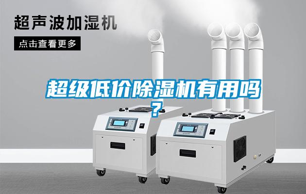 超級(jí)低價(jià)除濕機(jī)有用嗎？