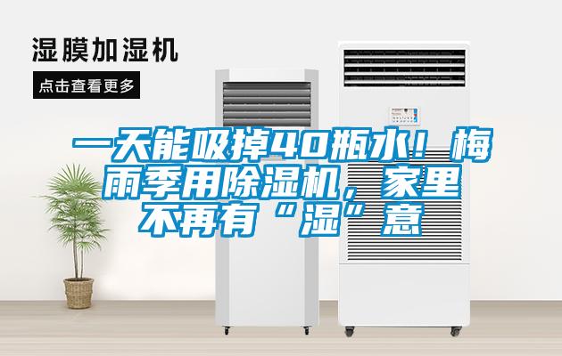 一天能吸掉40瓶水！梅雨季用除濕機(jī)，家里不再有“濕”意
