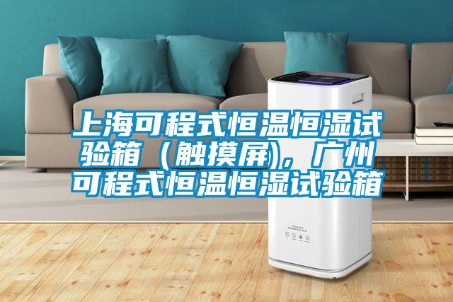 上?？沙淌胶銣睾銤裨囼?yàn)箱（觸摸屏)，廣州可程式恒溫恒濕試驗(yàn)箱