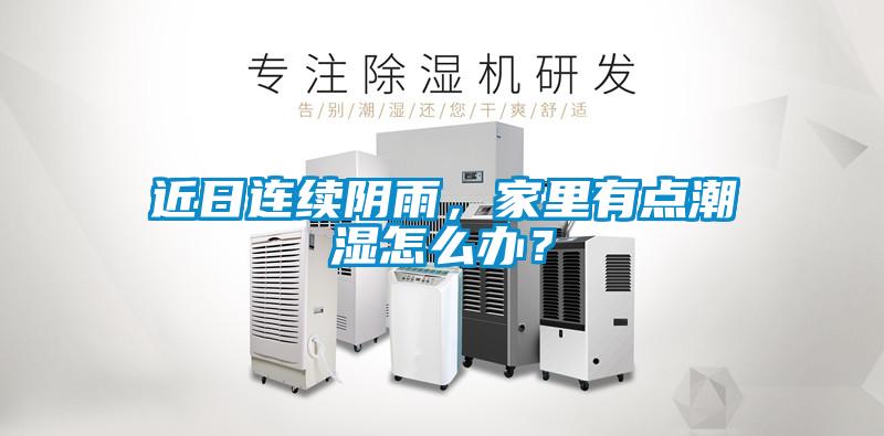 近日連續(xù)陰雨，家里有點潮濕怎么辦？