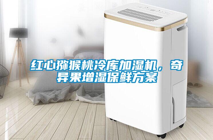 紅心獼猴桃冷庫加濕機，奇異果增濕保鮮方案