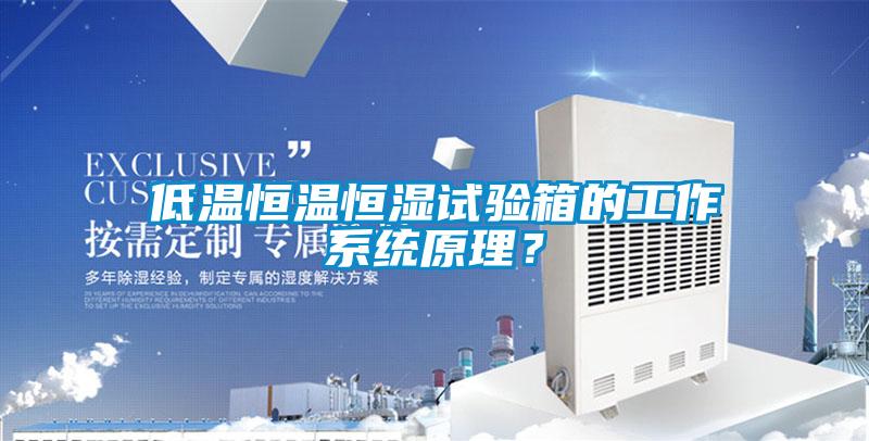低溫恒溫恒濕試驗(yàn)箱的工作系統(tǒng)原理？