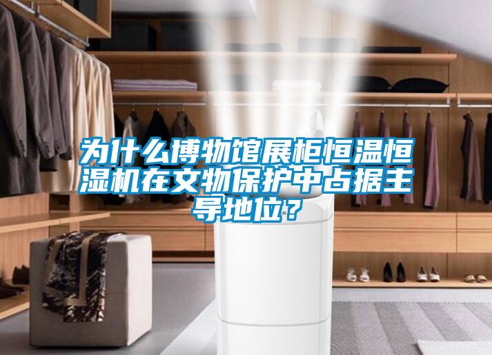 為什么博物館展柜恒溫恒濕機(jī)在文物保護(hù)中占據(jù)主導(dǎo)地位？