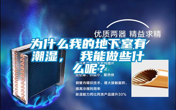 為什么我的地下室有潮濕， 我能做些什么呢？