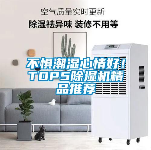 不懼潮濕心情好！TOP5除濕機精品推薦