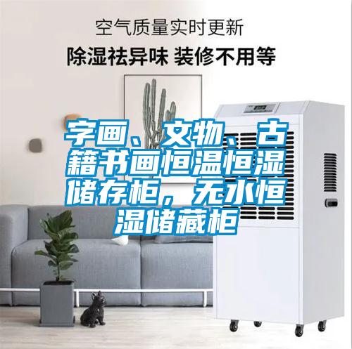字畫、文物、古籍書畫恒溫恒濕儲(chǔ)存柜，無水恒濕儲(chǔ)藏柜