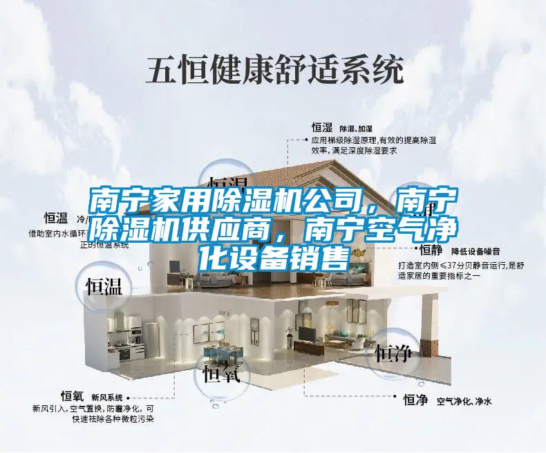南寧家用除濕機公司，南寧除濕機供應商，南寧空氣凈化設備銷售