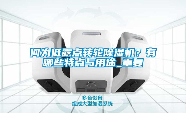 何為低露點轉(zhuǎn)輪除濕機？有哪些特點與用途_重復(fù)