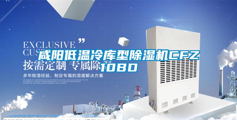 咸陽低溫冷庫型除濕機(jī)CFZ10BD
