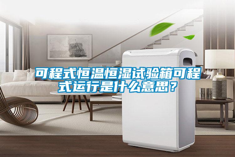 可程式恒溫恒濕試驗(yàn)箱可程式運(yùn)行是什么意思？