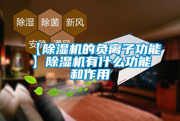 【除濕機的負(fù)離子功能】除濕機有什么功能和作用
