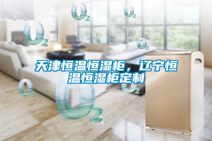 天津恒溫恒濕柜，遼寧恒溫恒濕柜定制
