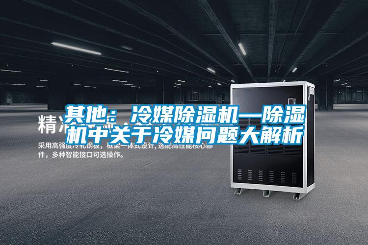 其他：冷媒除濕機(jī)—除濕機(jī)中關(guān)于冷媒問題大解析