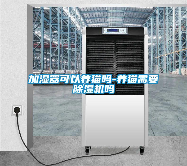 加濕器可以養(yǎng)貓嗎-養(yǎng)貓需要除濕機(jī)嗎